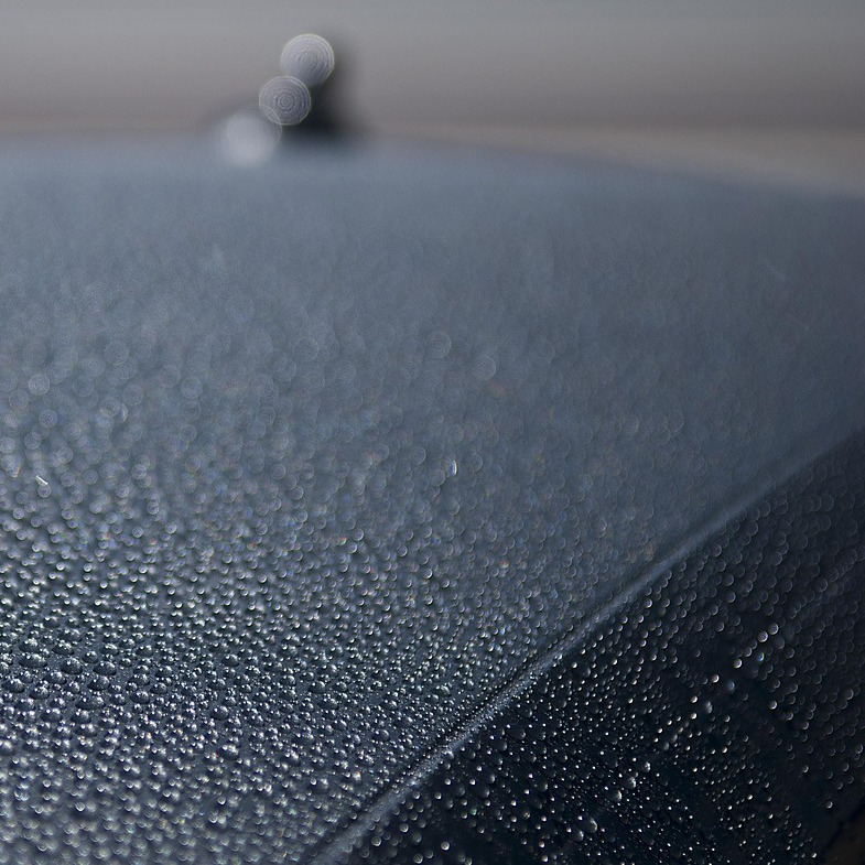 car detailing polishing paint correction