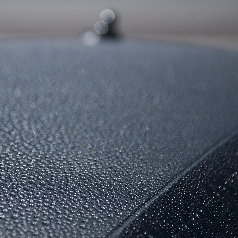 automotive detailing tint wraps